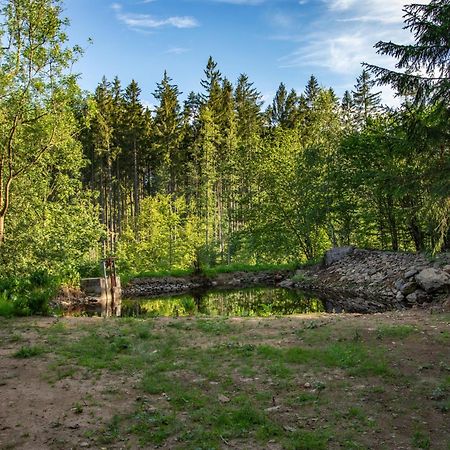Arktik Lesni Mlyn Lejlighed Novy Rychnov Eksteriør billede